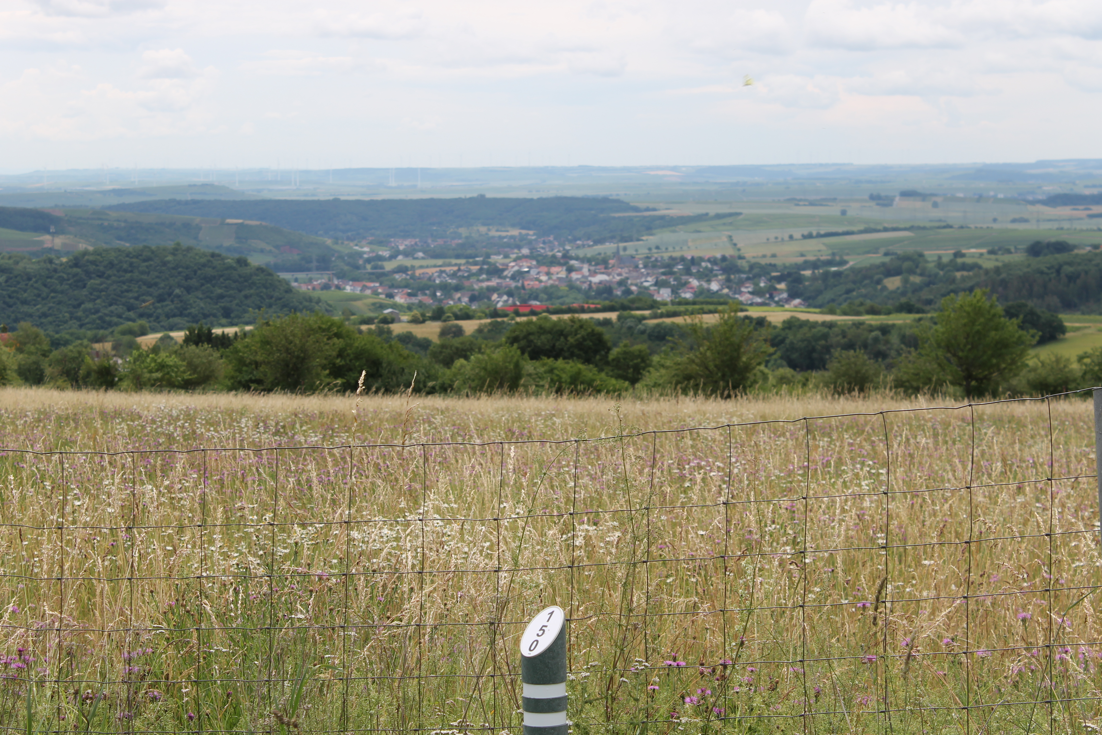 Blick bis zum Donnersberg