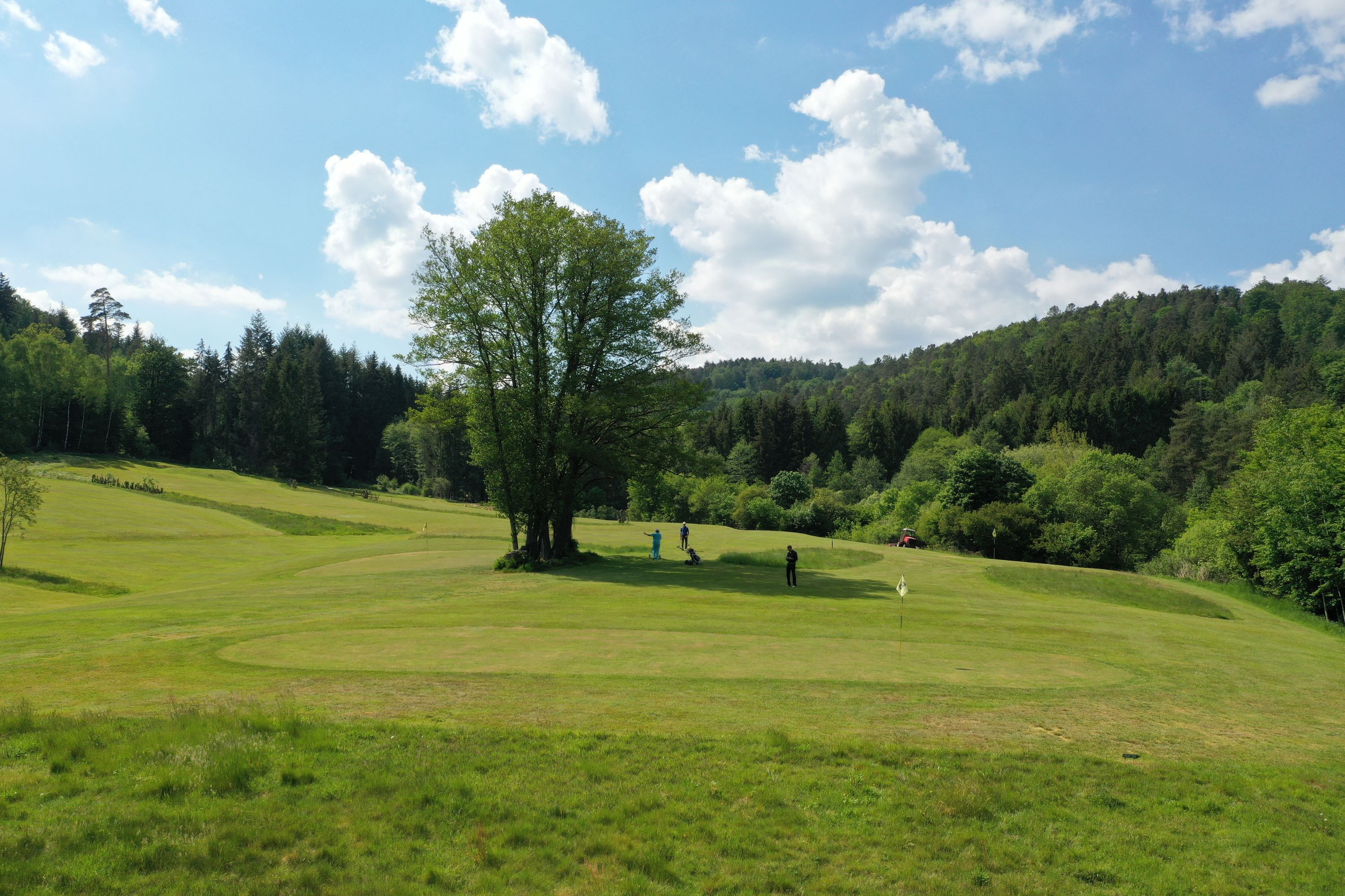 Treffpunkt Baum (Foto: Natur Golfclub Geierstal)