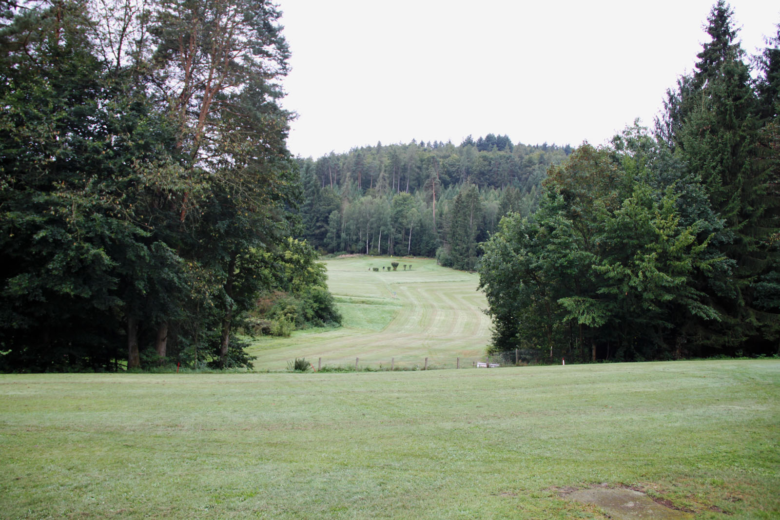 Falsche Fahne in Sicht