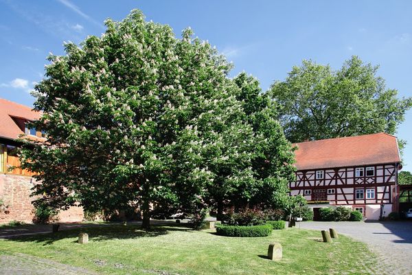 Bild: Golfpark Gut Hühnerhof