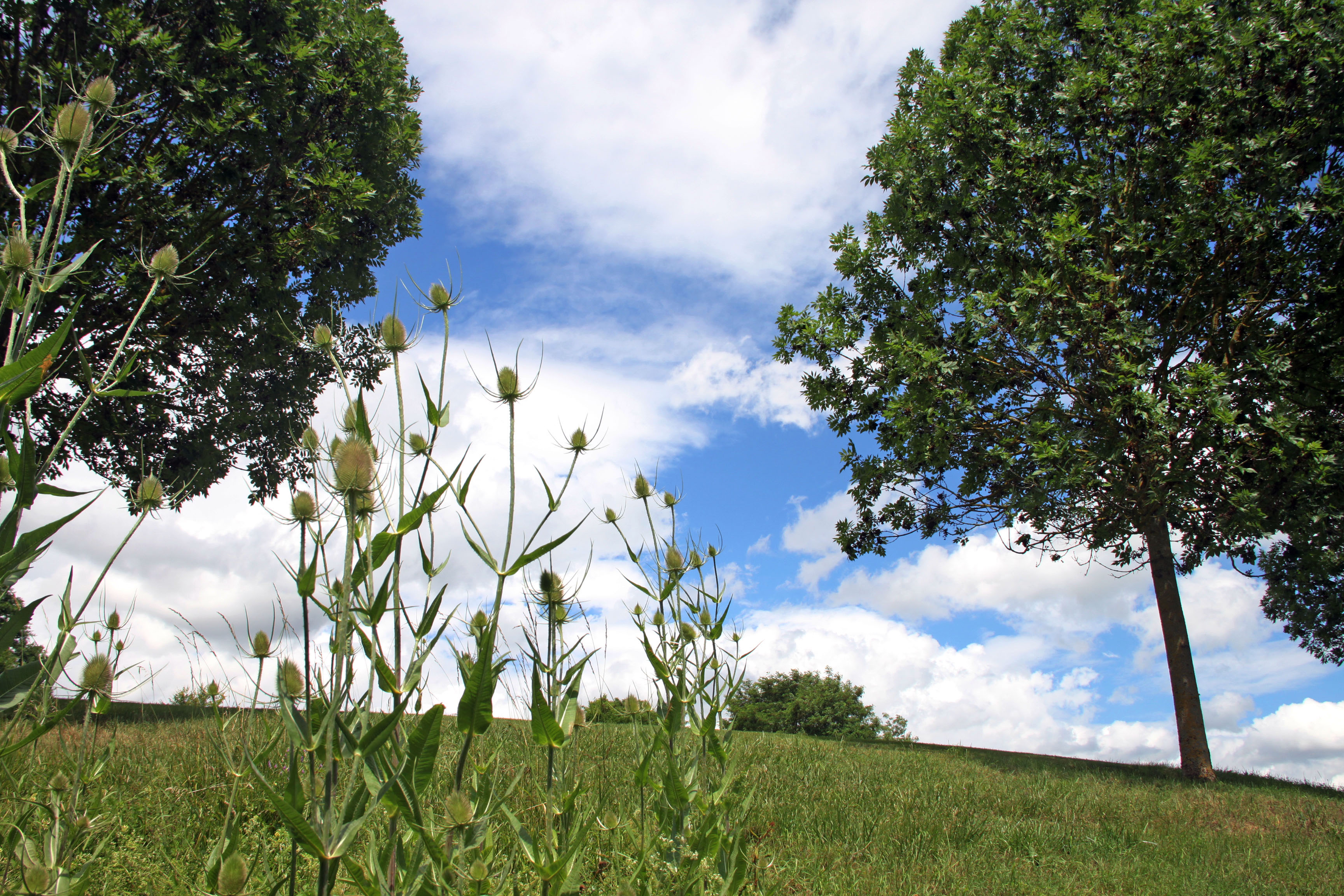 Wolkenspiel