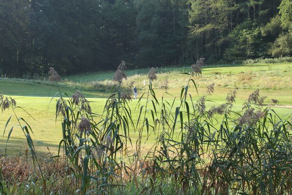 Bild: Golfpark Gut Hühnerhof