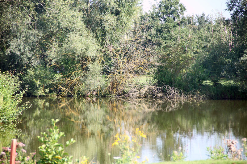 Keine Fata Morgana: Oase im Grünen