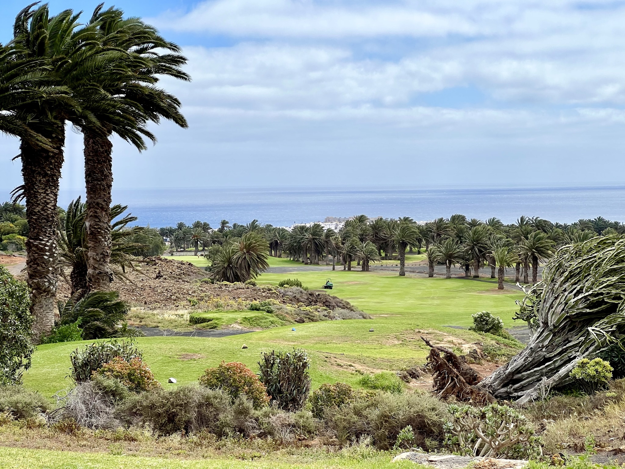 Palmen soweit das Auge reicht – im Costa Teguise Golf Club auf Lanzerote