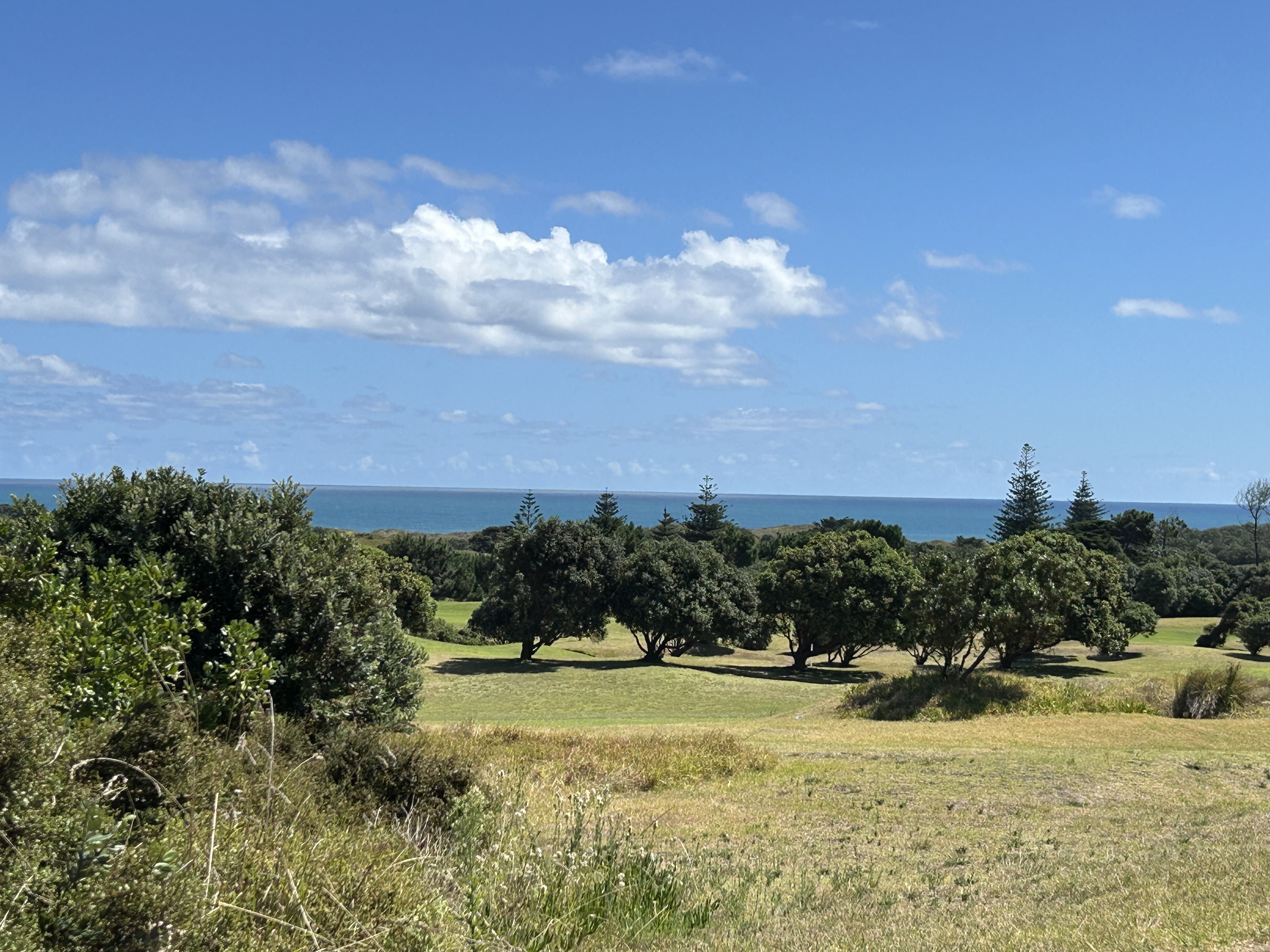 Muriwai GC