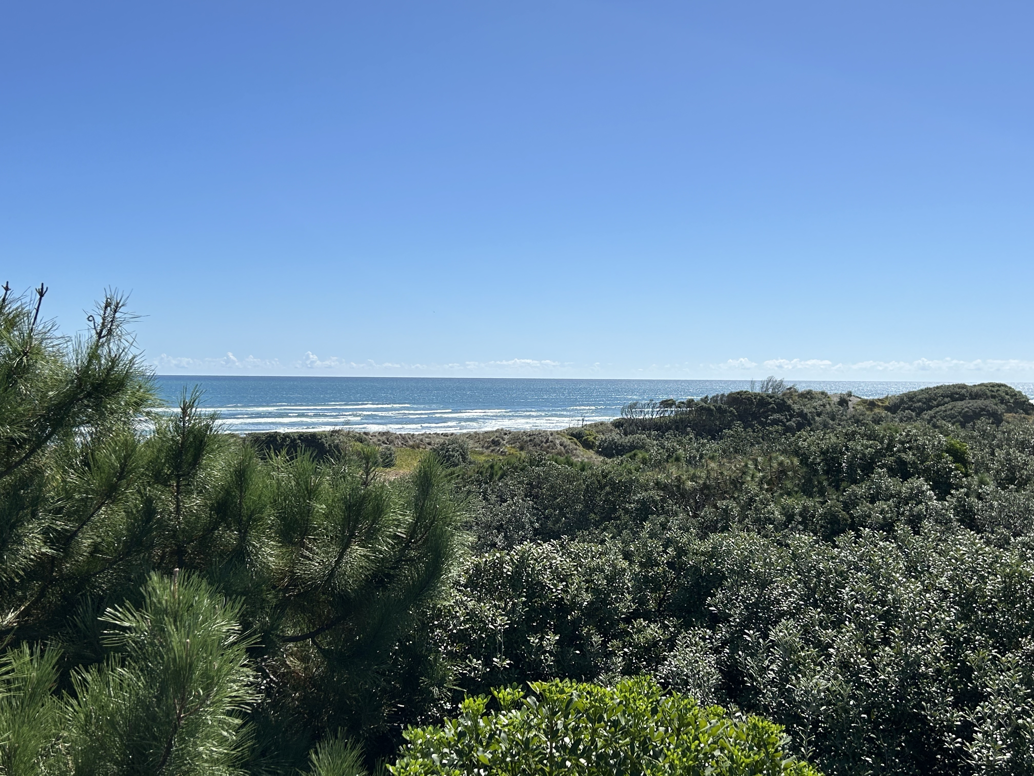 View Point, Muriwai