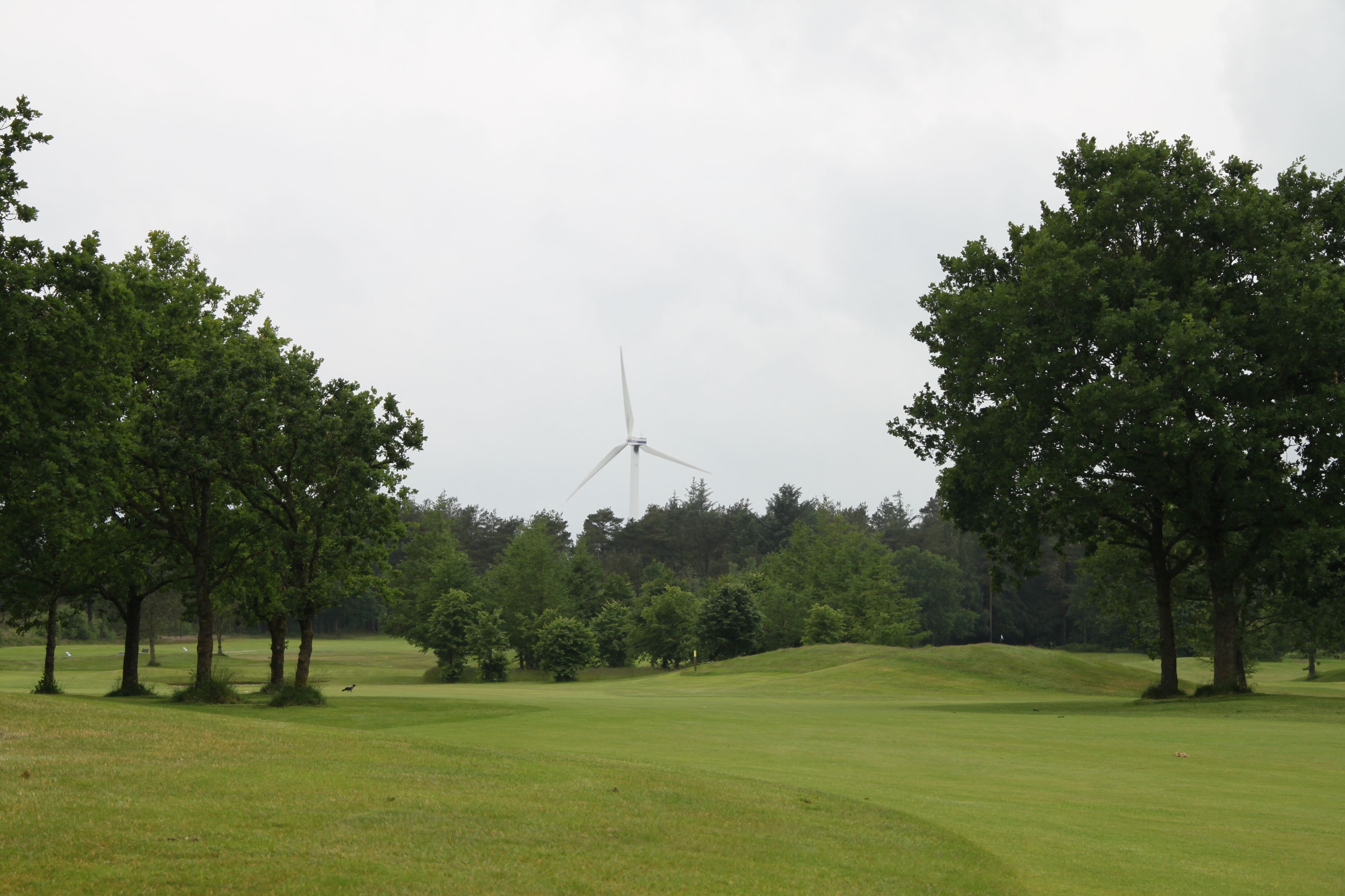 Viele Bäume, enge Fairways: Skaerbek