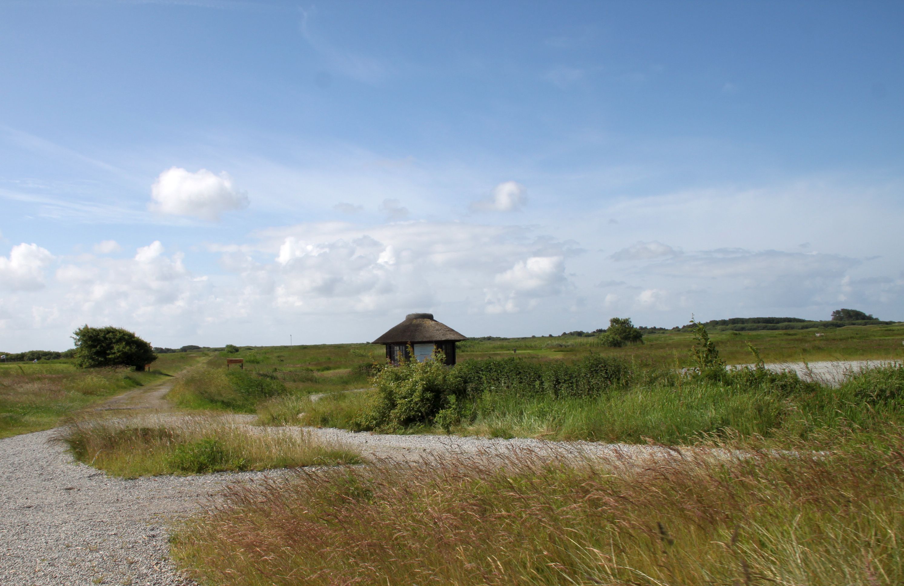 Rømø Golf Links:  Weite Sicht