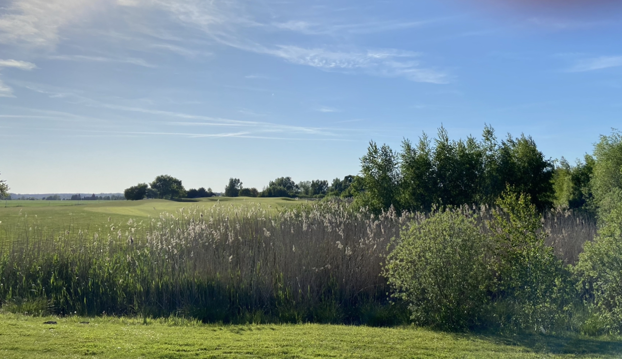 Natur und Fairways wie Ying und Yang