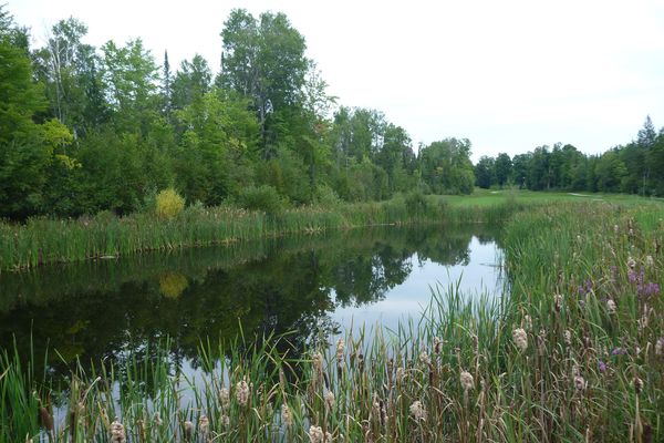 Grün: Greensmere Ottawa (Bild:Monica Deniers)