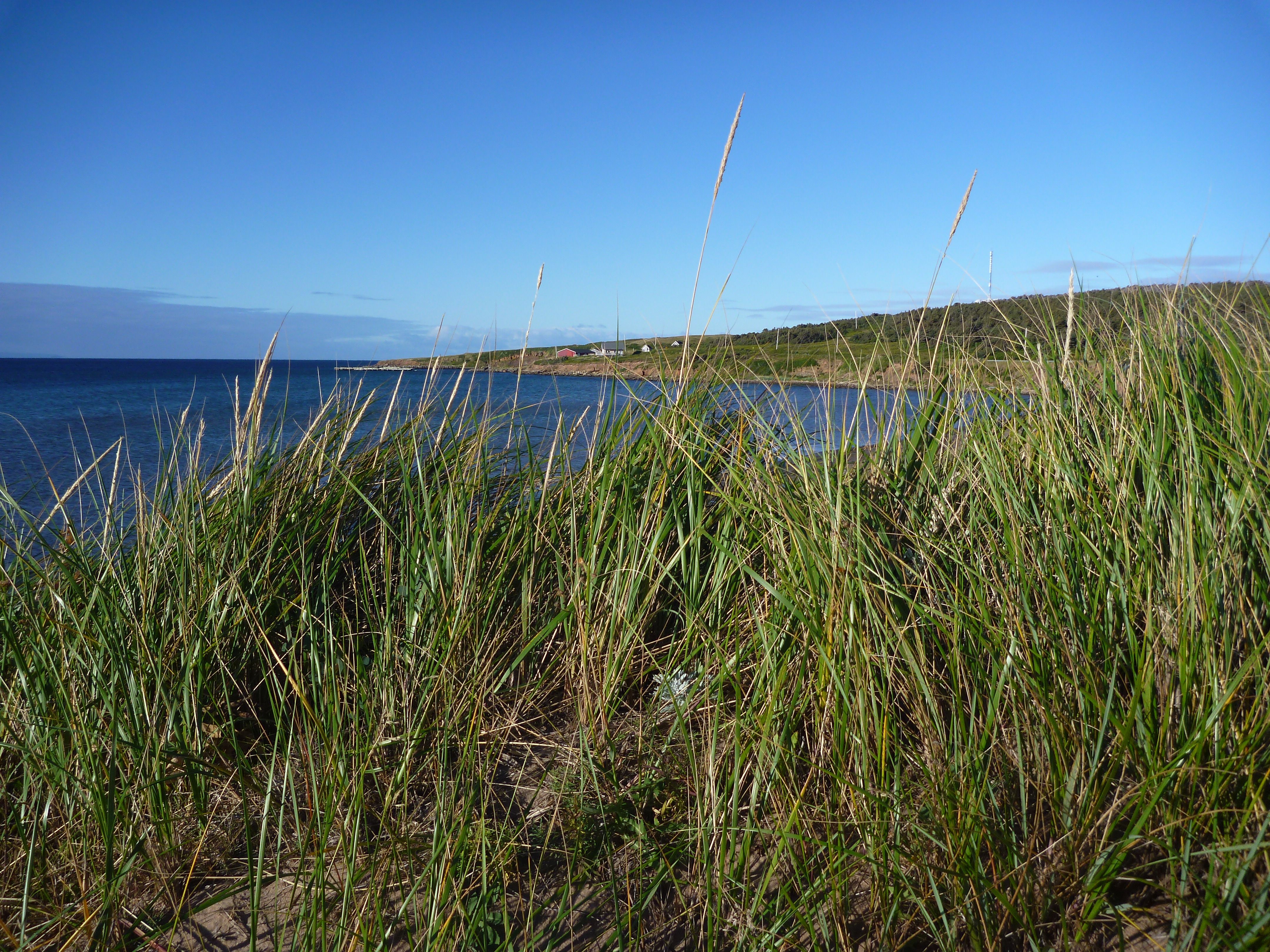 St. Pierre Cape Breton